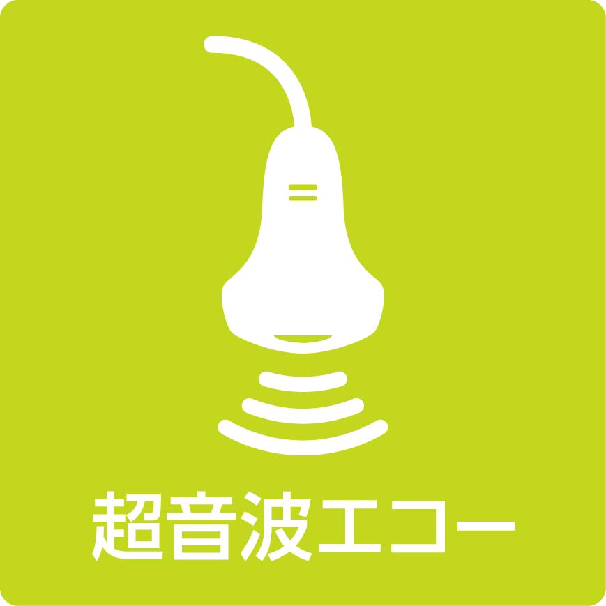 超音波エコー